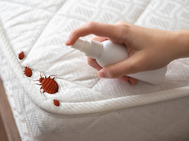 Best Bed Bug Extermination  in Dover Beaches North, NJ